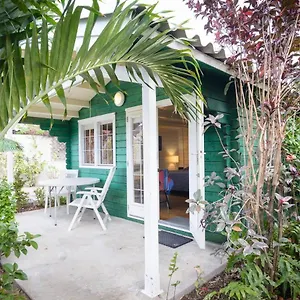 https://rembrandt-garden-studios.comcaribbean.com